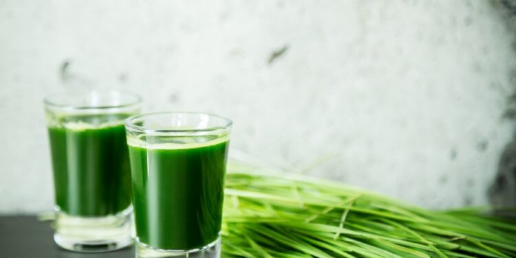 Le jus d’herbe de blé : my kind of shot!
