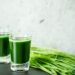 Le jus d’herbe de blé : my kind of shot!