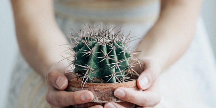 Leçons d’un coeur brisé