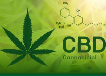 cbd-fond-formule